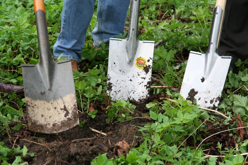 pepiniere-CABRIS-min_work-lawn-flower-tool-green-backyard-1103633-pxhere.com